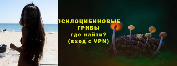 прущий лед Алзамай