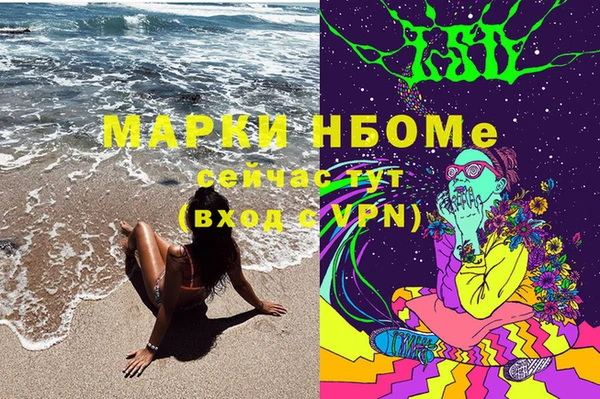 прущий лед Алзамай