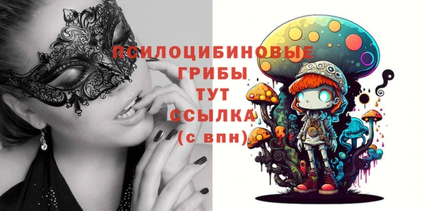 молекула духа Алексин