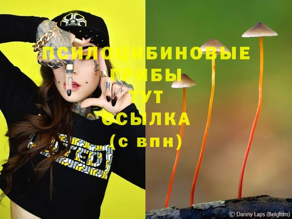 молекула духа Алексин