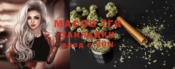 прущий лед Алзамай